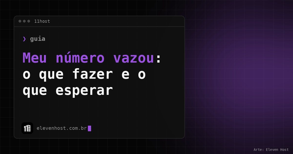 Arte da Eleven Host: janela de terminal com o título: Meu número vazou: o que fazer e o que esperar